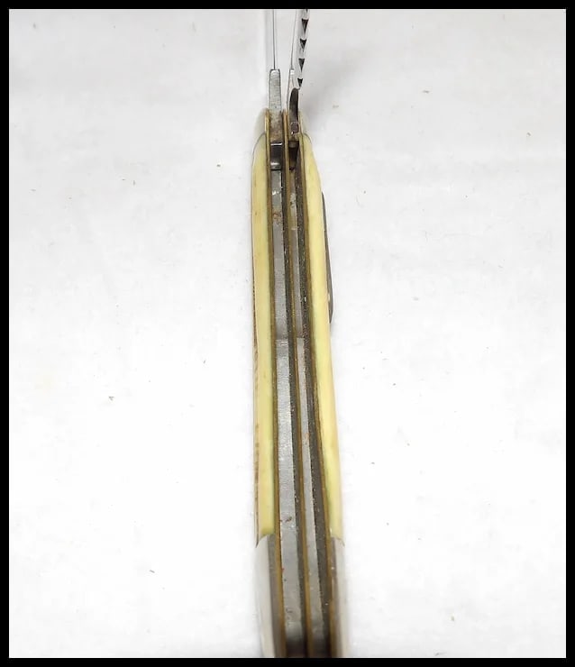 Queen Cutlery Co. #46 Toothpick Fish Knife in Winterbottom Bone - 5