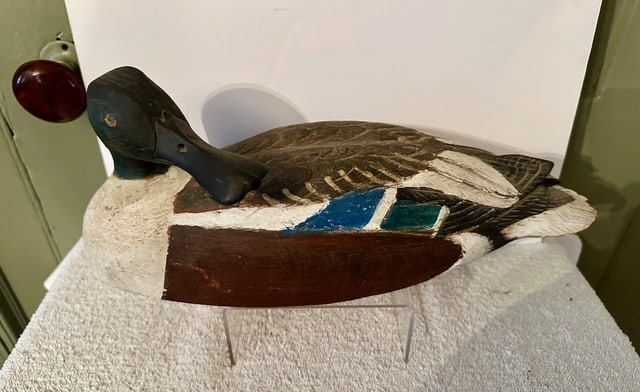 Shoveler Duck Decoy: A wonderfully painted, highly carved decoy of a male Shoveler Duck. The duck has a turned head, carved feather details on its bill and especially its tail and back and a superb paint job. Most likely