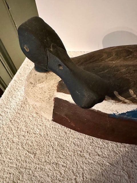 Shoveler Duck Decoy - 3