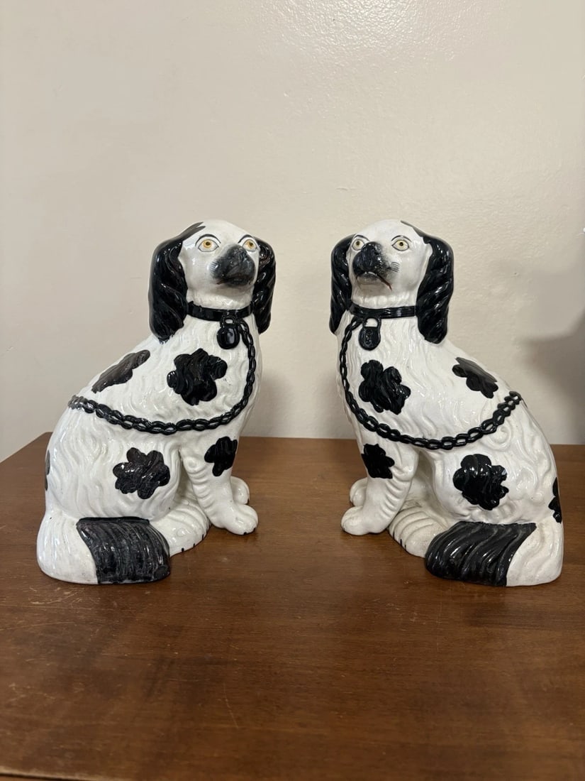 Pr Black & White Staffordshire Spaniel Dogs (1 of 14)