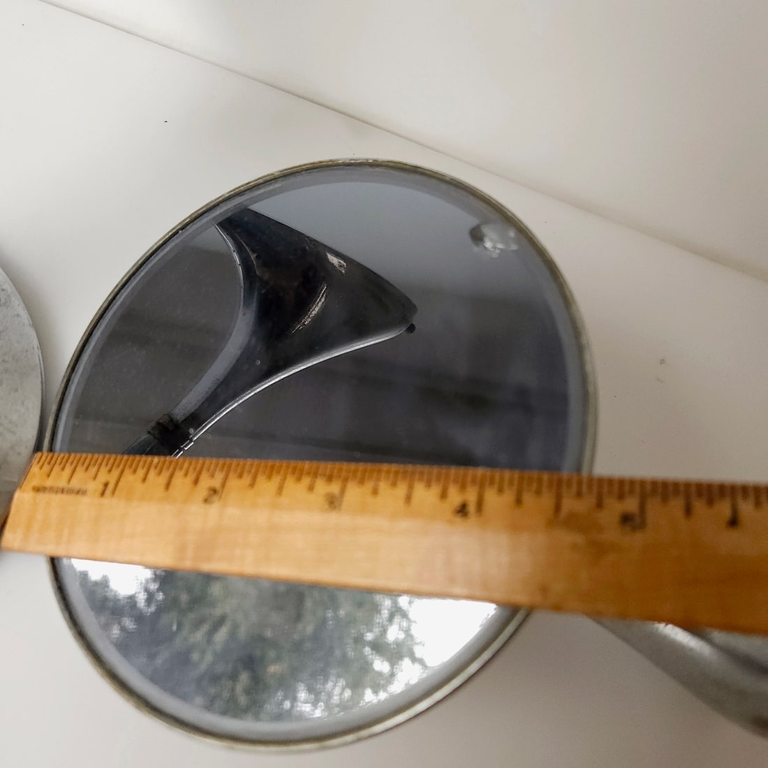 Herring or Silvery Gull - original Audubon print - 2