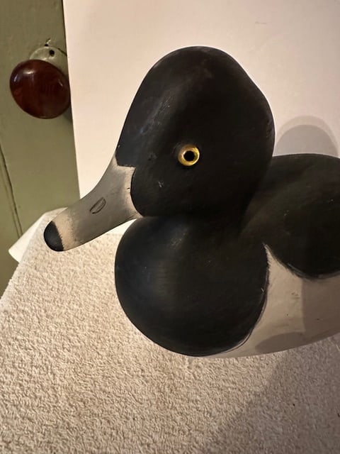 Bufflehead/Ring Neck Duck Decoy - 3