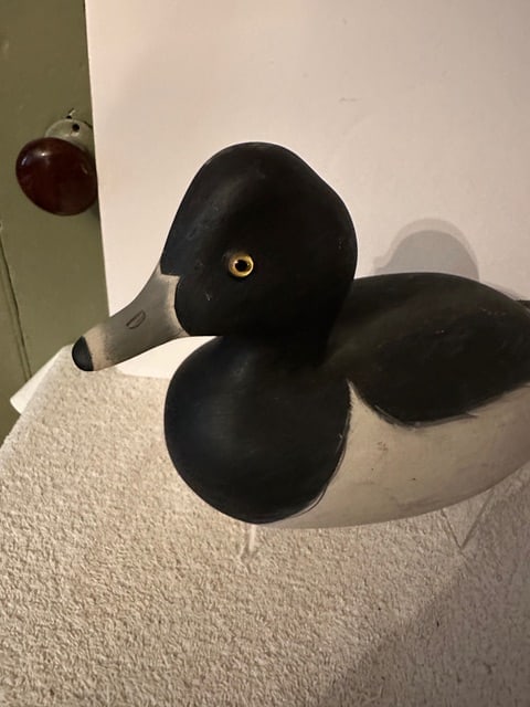 Bufflehead/Ring Neck Duck Decoy - 5