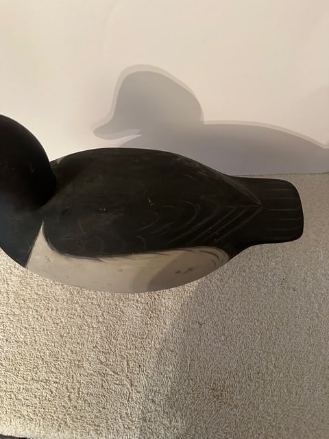Bufflehead/Ring Neck Duck Decoy - 6