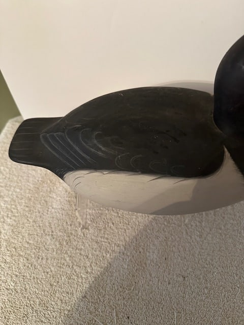 Bufflehead/Ring Neck Duck Decoy - 7