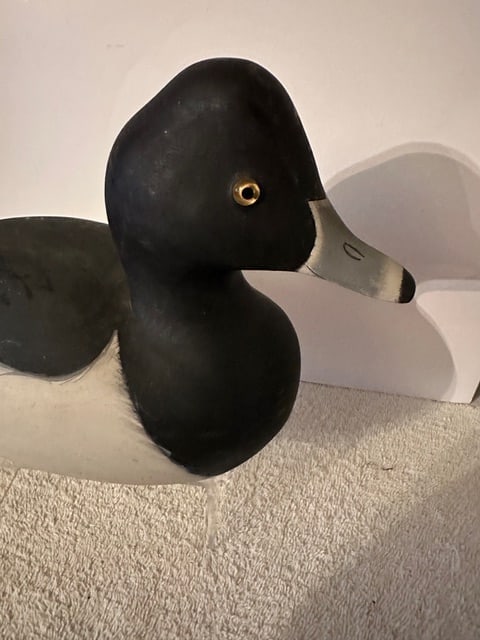 Bufflehead/Ring Neck Duck Decoy - 8