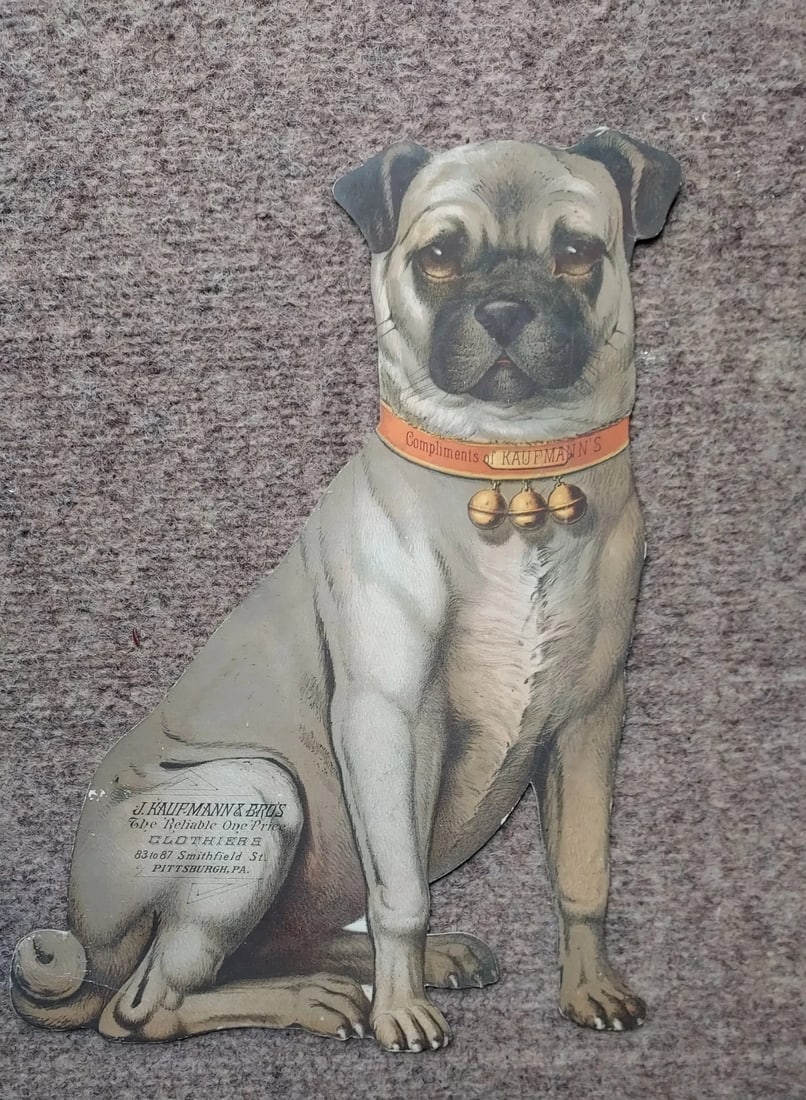 Antique Die Cut Advertising Piece Figural Dog Clothes Clothier 13" pug terrier (1 of 4)