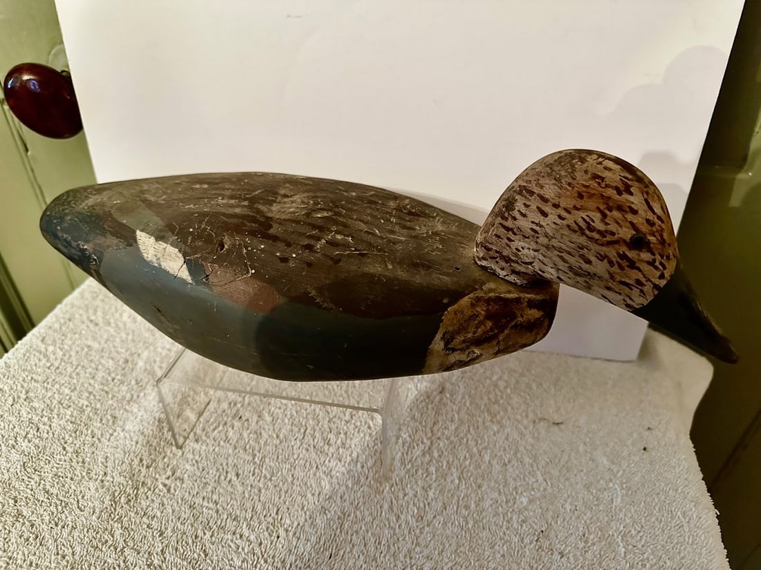 Working Duck Decoy: This working duck decoy is nicely painted and has a long, sleek body. Unfortunately, I’m not sure exactly what species is represents: it could be one of several. But this bird has tiny glass-tac