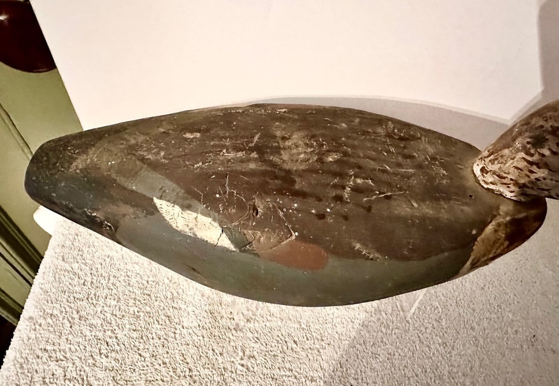 Working Duck Decoy - 6