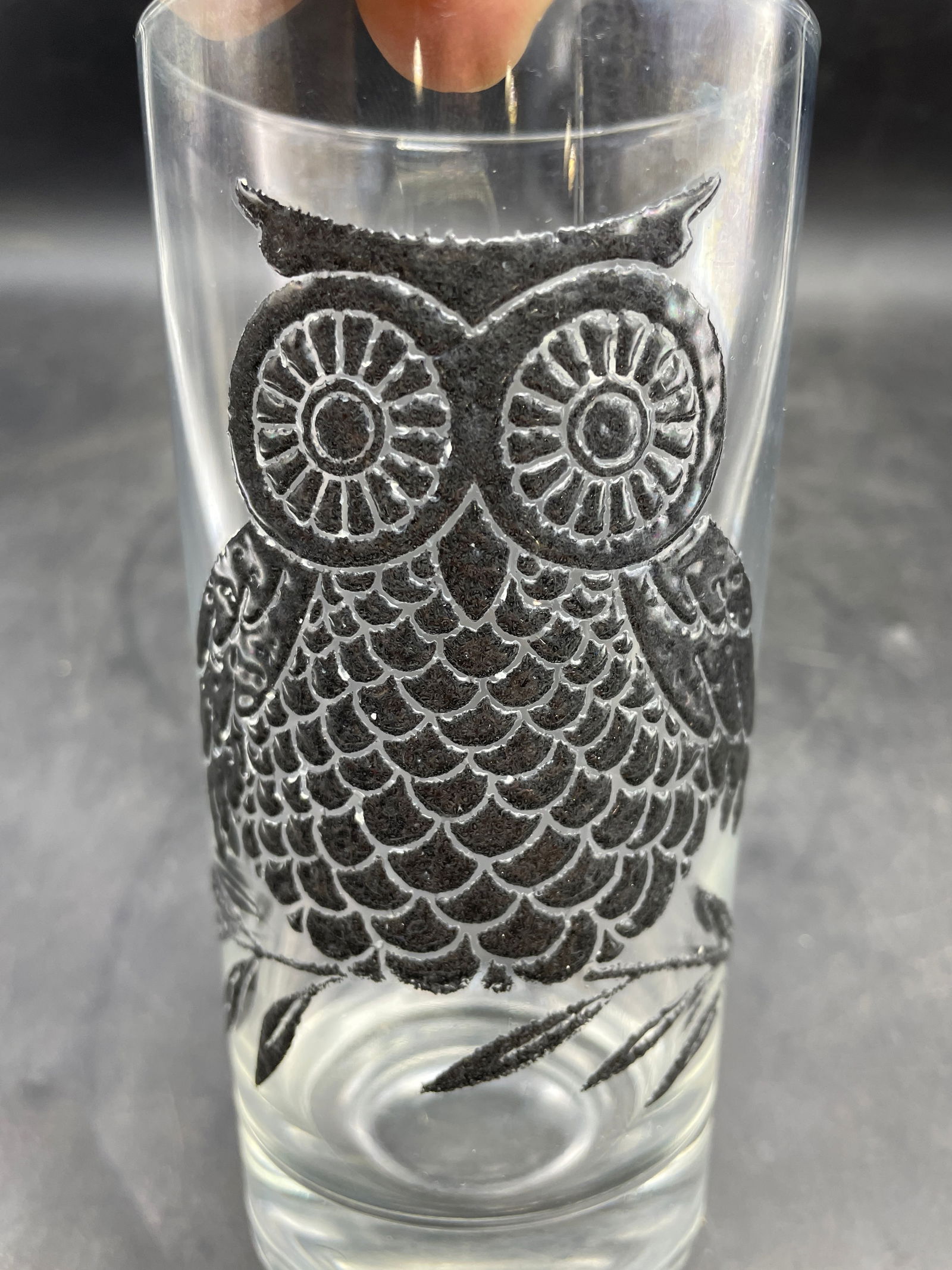 MCM West Virginia Black Owl Tall Tumbler Glasses - 3