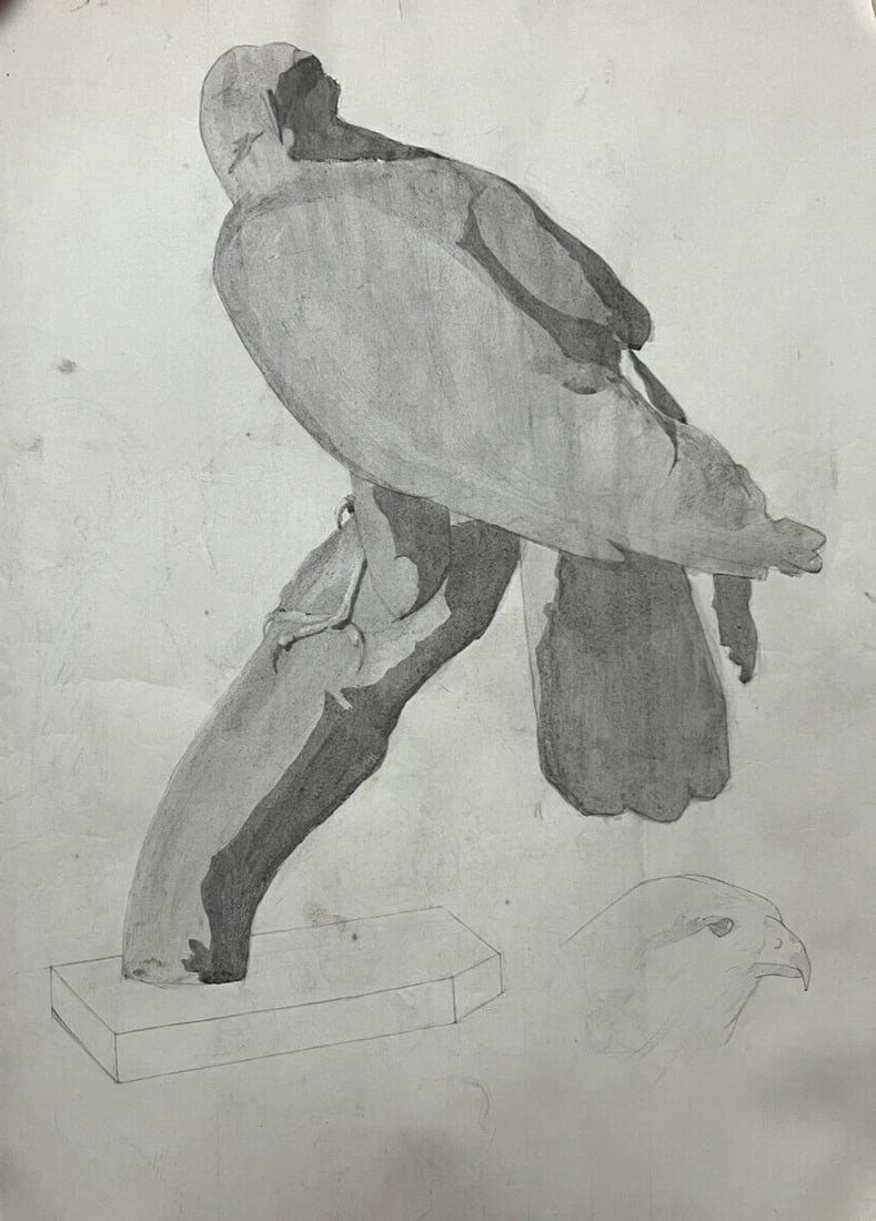 Antique Original Drawing Sculpture, Animal, Bird, Crow: Title: Antique Original Drawing Sculpture, Animal, Bird, Crow Description: Ink on paper 65 x 50 cm folds, stains, tears All our artworks are packaged to a very high standard, using protective cellopha