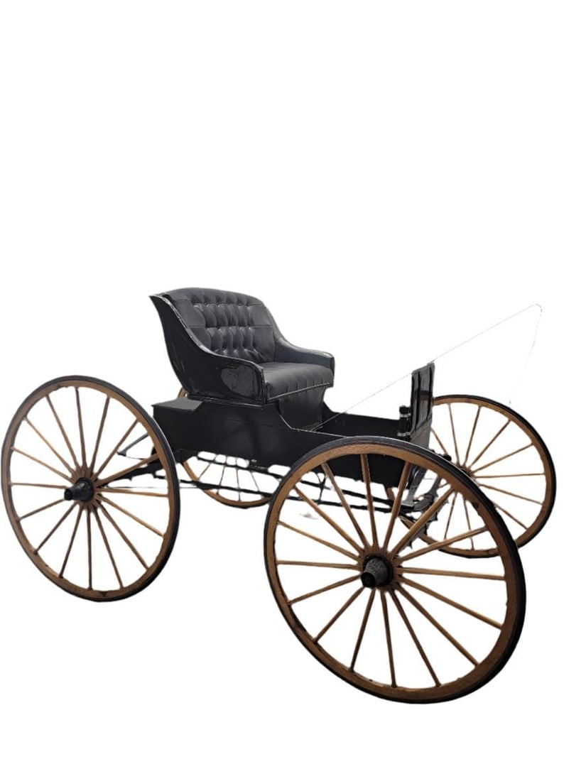 Antique Fully Restored & Functional Horse-Pull Spring Buggy - 3