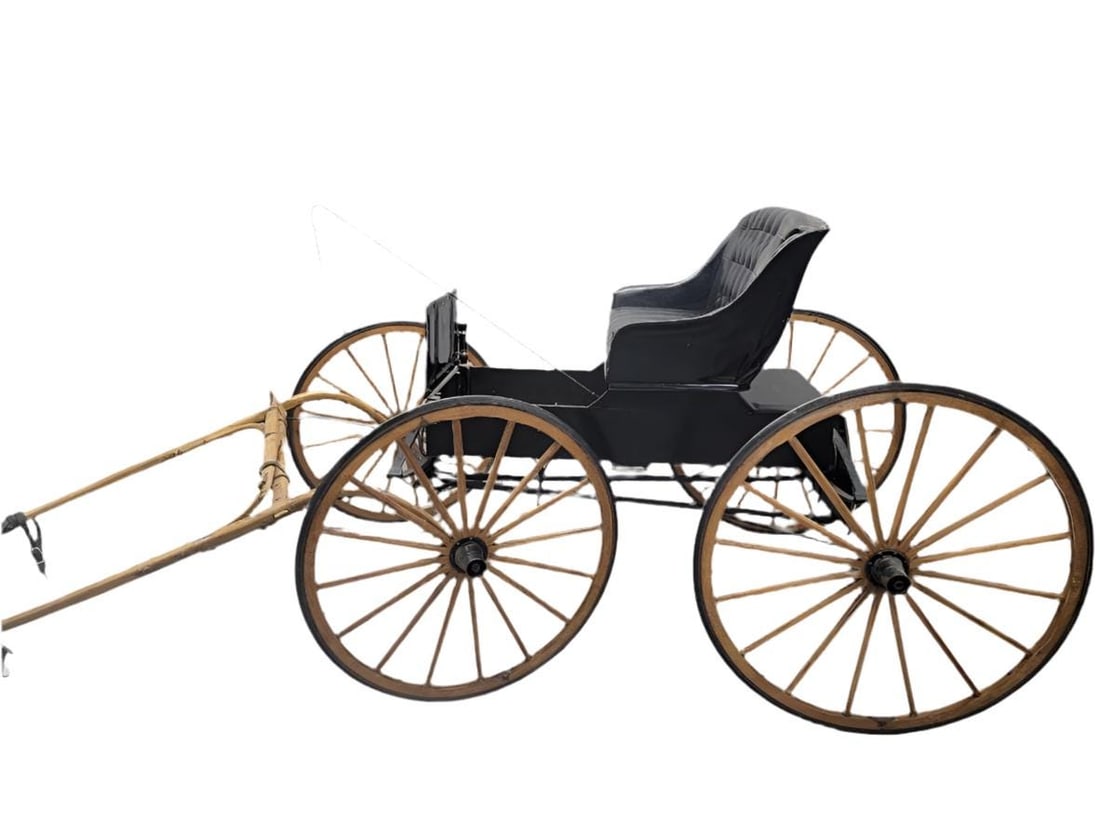 Antique Fully Restored & Functional Horse-Pull Spring Buggy - 4