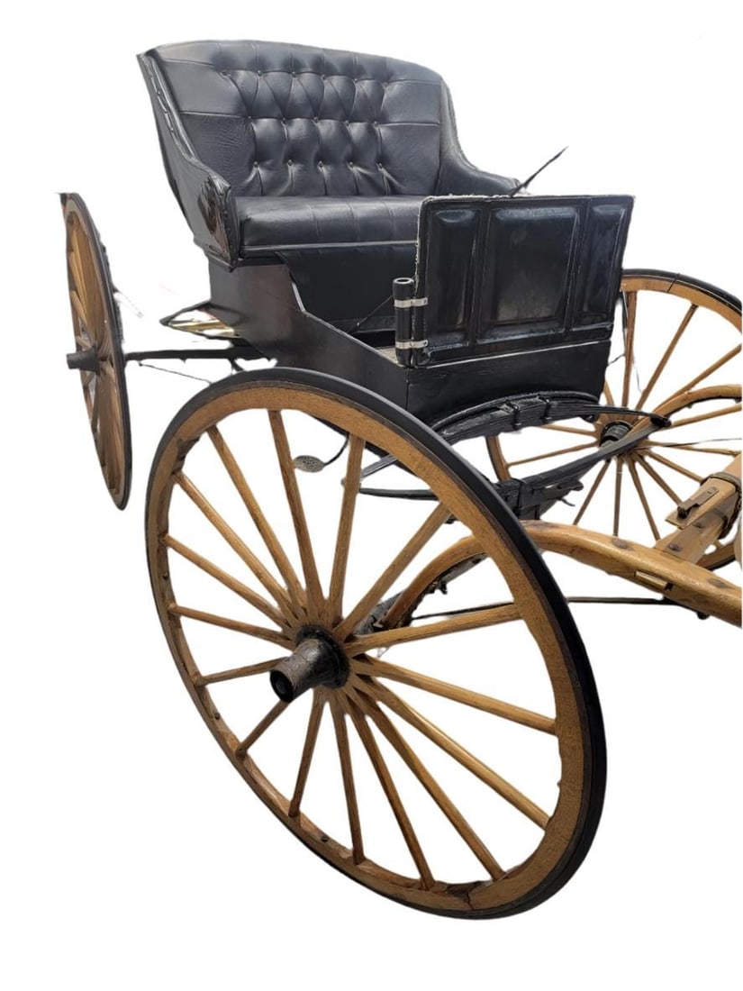 Antique Fully Restored & Functional Horse-Pull Spring Buggy - 5