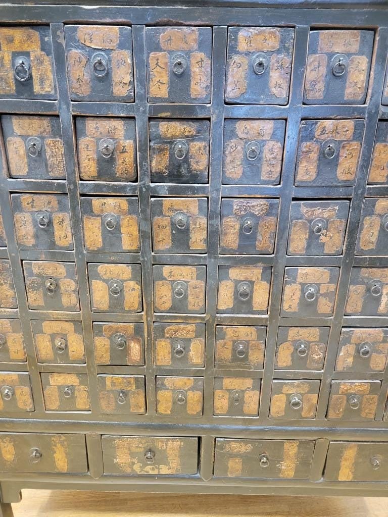 Antique Shanxi Province Hand Painted Black Lacquer Apothecary/Medicine Cabinet - 9
