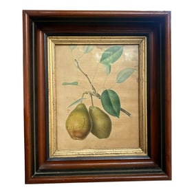 Antique 19th Century Framed Pear Fruit Botanical Illustration Print