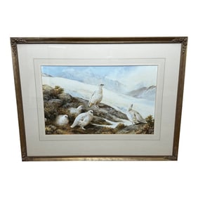 Ornithology Watercolor Highland Moors Wildlife Covey of Ptarmigan Game Birds by Neil Cox