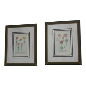 Pair John Richards Green Framed Botanical Prints