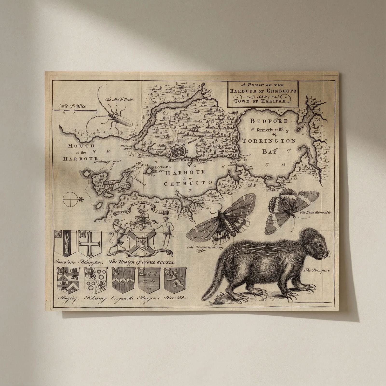A Plan of the Harbour of Chebucto & Town of Halifax. Canada. GENTS MAG 1750 map: Title: A Plan of the Harbour of Chebucto & Town of Halifax. Canada. GENTS MAG 1750 map Description: A Plan of the Harbour of Chebucto and Town of Halifax' by Anonymous. Published 1750. Antique copperp