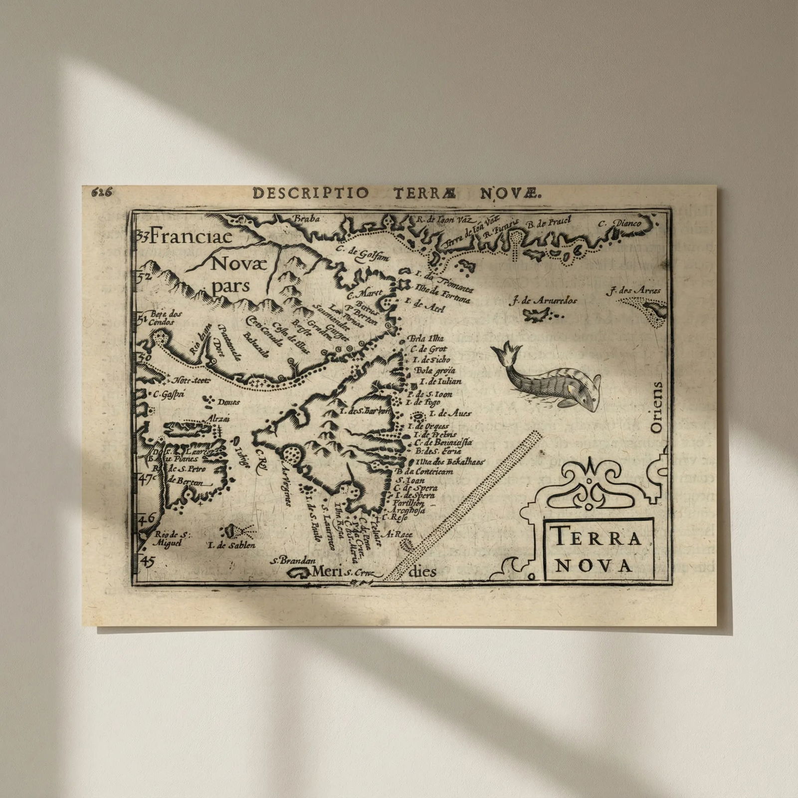 Terrae Novae / Terra Nova by Bertius / Langenes. Newfoundland, Canada 1603 map: Title: Terrae Novae / Terra Nova by Bertius / Langenes. Newfoundland, Canada 1603 map Description: Descriptio Terrae Novae / Terra Nova [Newfoundland, Eastern Canada]. Drawn by Petrus Bertius, from hi