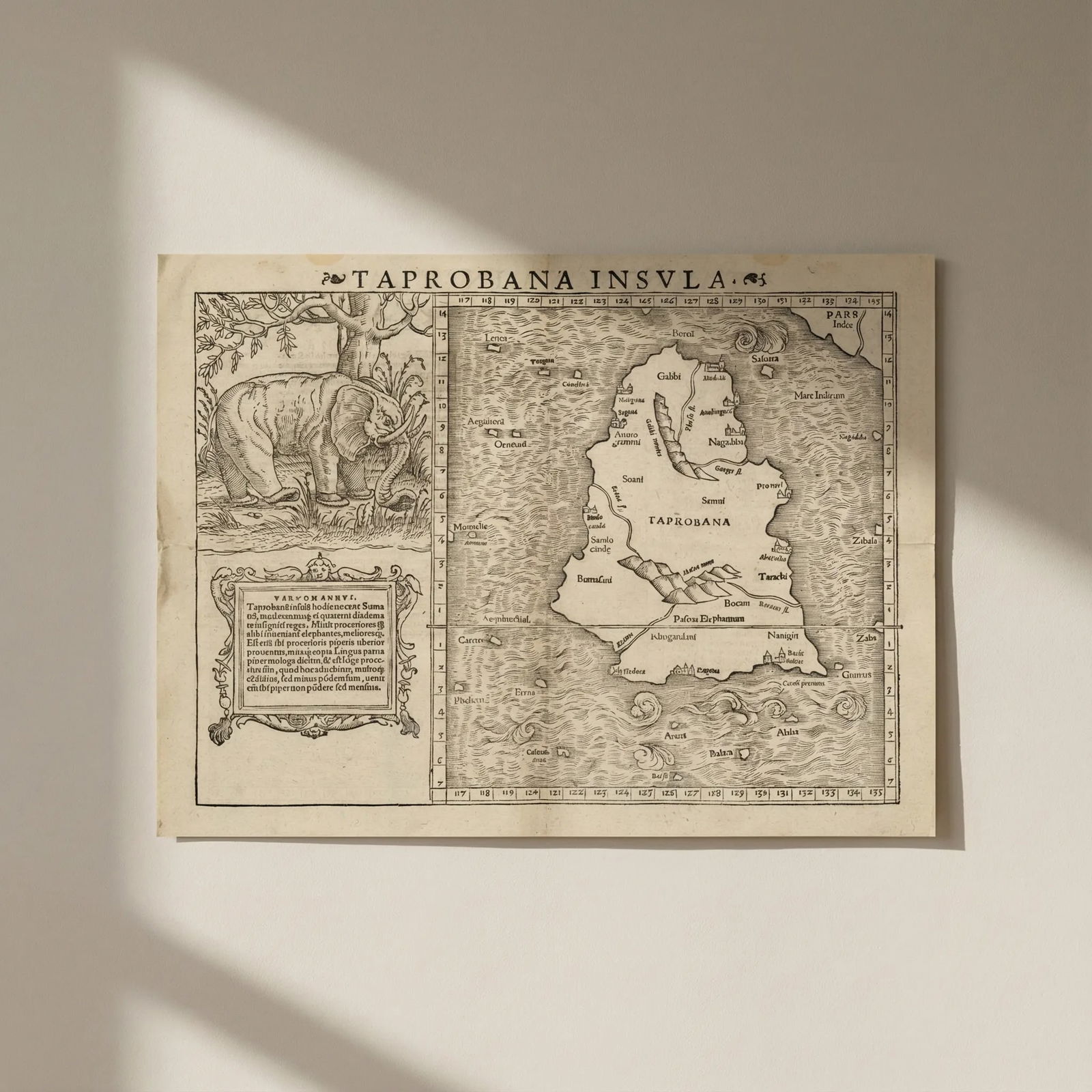 Taprobana insula. Sri Lanka / Ceylon. SEBASTIAN MÜNSTER 1572 old antique map: Title: Taprobana insula. Sri Lanka / Ceylon. SEBASTIAN MÜNSTER 1572 old antique map Description: Taprobana insula [Sri Lanka [includes: Tarachi - now Tadduvankoddi; Margana - now Manthai; Anubing