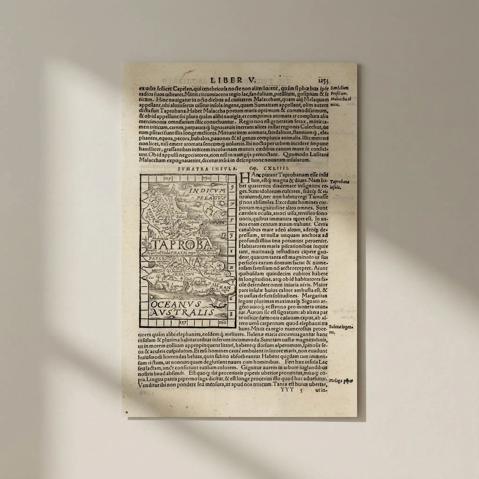 Sumatra lnsula. Taprobana. Sumatra or Sri Lanka. SEBASTIAN MÜNSTER 1572 map: Title: Sumatra lnsula. Taprobana. Sumatra or Sri Lanka. SEBASTIAN MÜNSTER 1572 map Description: Sumatra lnsula. Taprobana ["Sumatra Insula" [but Sri Lanka]] by Münster, Sebastian. Published