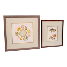 Pair of Framed Signed & Numbered Art Study Nautical Shells Fish Drawings Pamela Sinkler