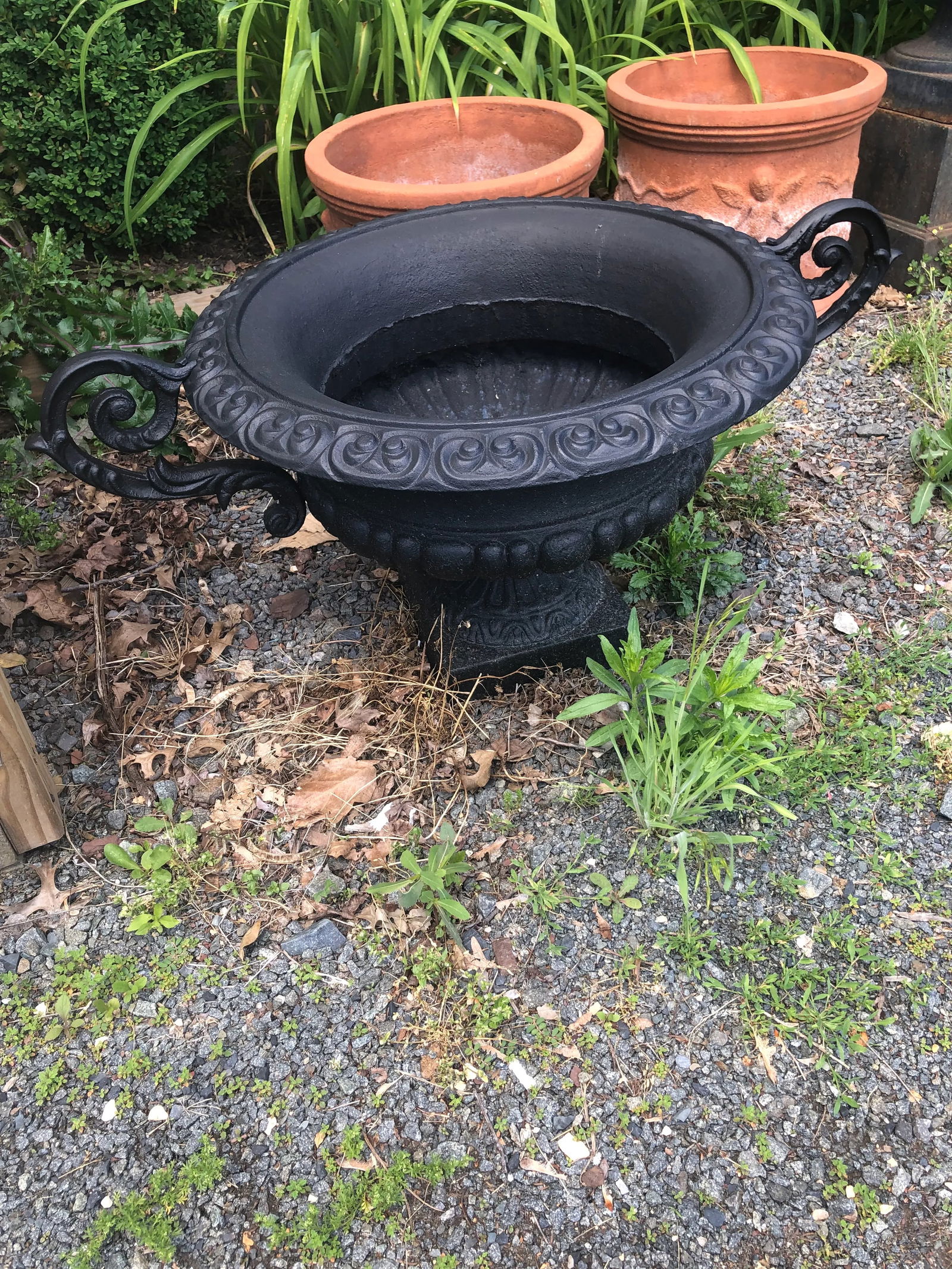 Neoclassical Newly Painted Black Garden Planters Urns With Fancy Handles -A Pair - 9