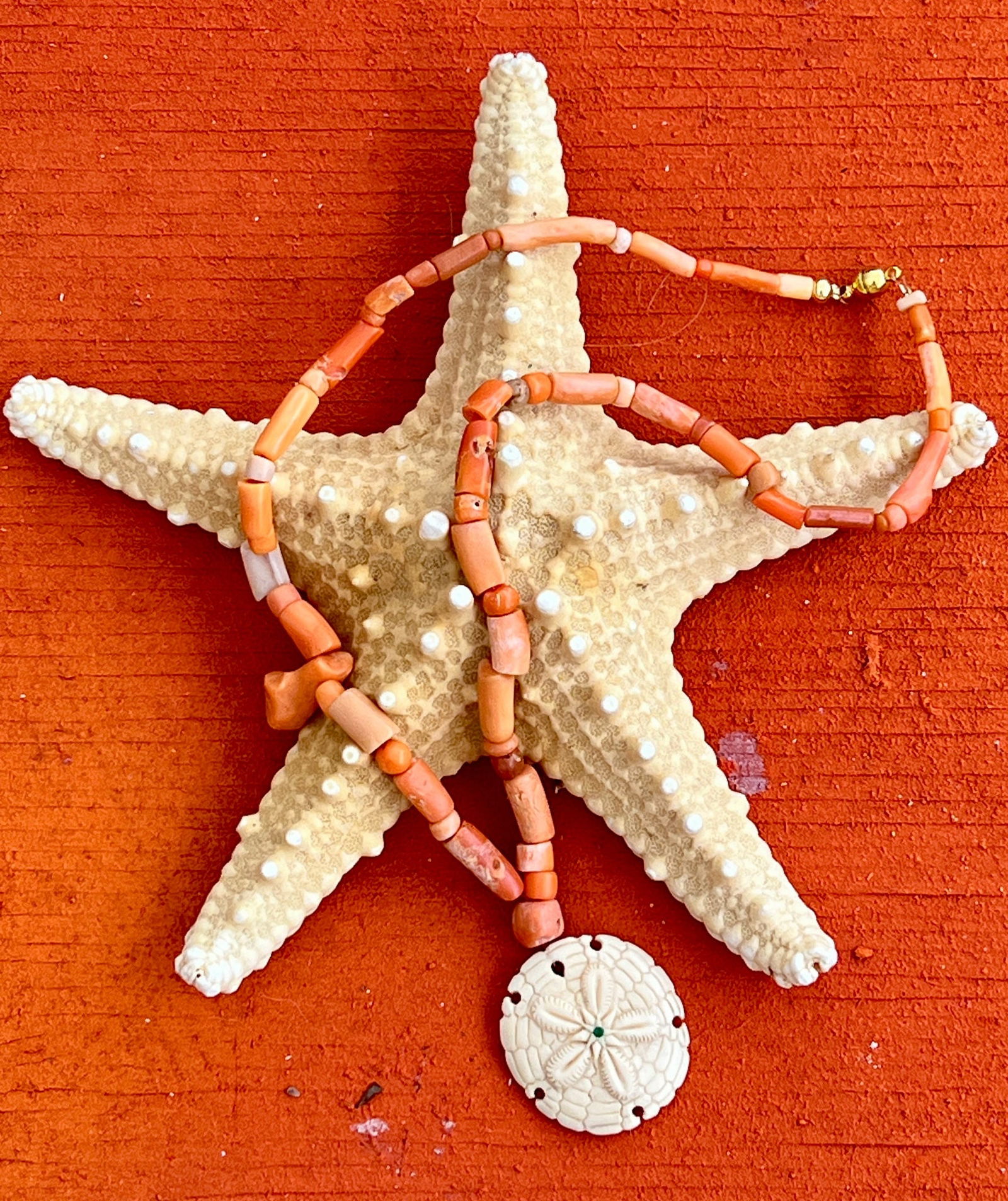 Red Coral Necklace with a Sand Dollar Pendant - 2