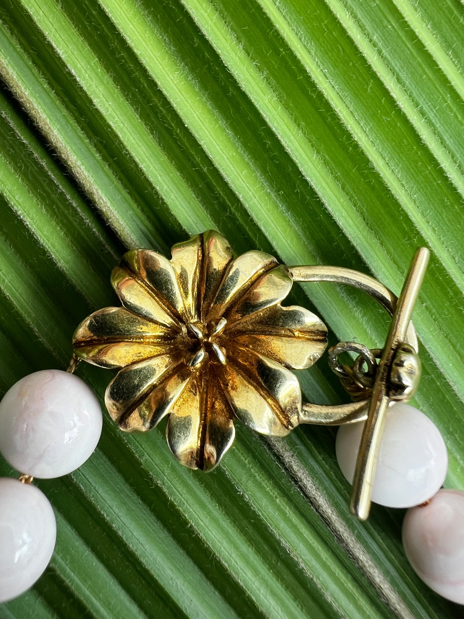 Conch Shell 16" Necklace with Coral - 5