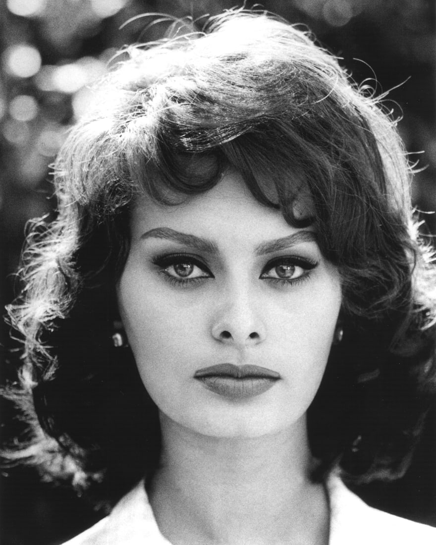 19X13" LG FORMAT PORTRAIT OF SOPHIA LOREN (1 of 1)