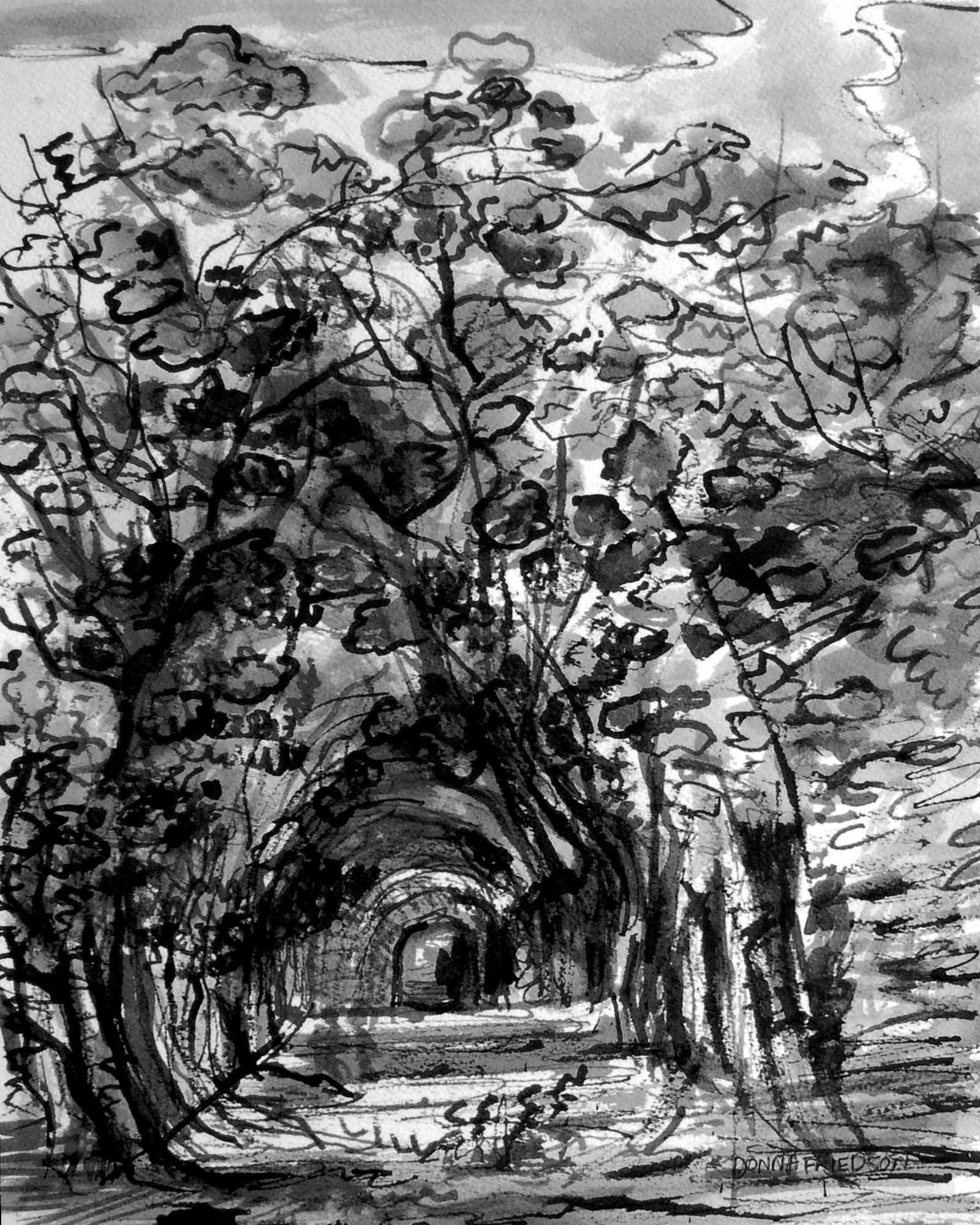 CANOPY_AFTER WATERCOLOR: Title: CANOPY_AFTER WATERCOLOR Artist/Source: DONNA FRIEDSON Original Date: UNKNOWN Dimensions: 8X10 / 10X8 ACCORDINGLY Description: || UNITED STATES SHIPPING ONLY! || This lot is a Dye Based Photolit