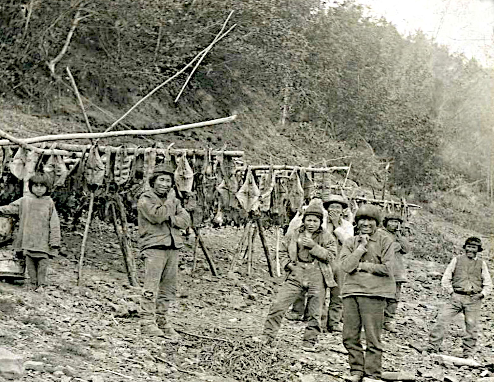 DRYING FISH ON YUKON RIVER, ALASKA: Title: DRYING FISH ON YUKON RIVER, ALASKA Artist/Source: KEYSTONE VIEW CO. Original Date: EXACT YEAR UNKNOWN Dimensions: 8X10 Description: || UNITED STATES SHIPPING ONLY! || This lot is a Dye Based Ph