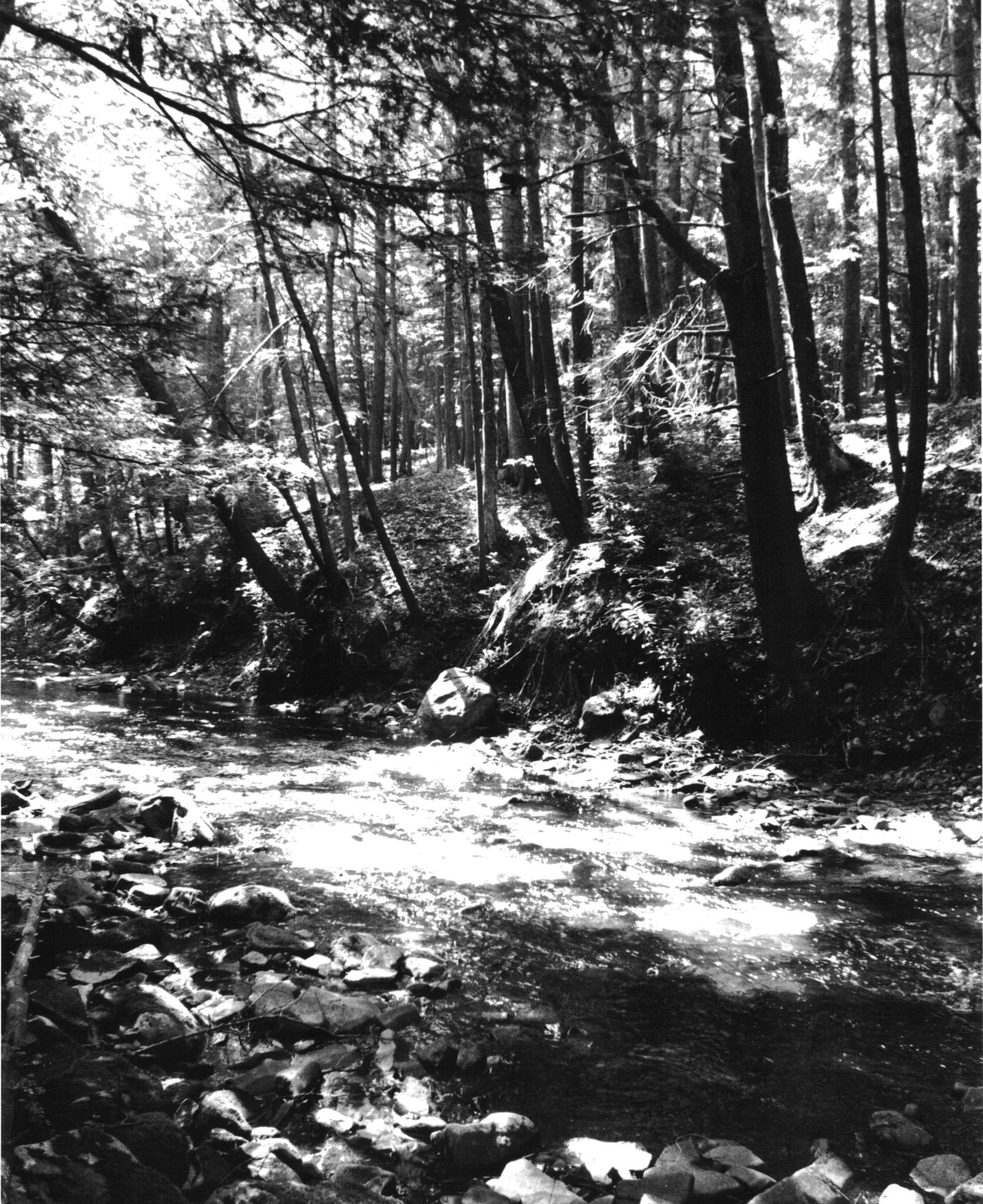 LG. FORMAT 13X19" "SACRED", 35MM FILM: Title: LG. FORMAT 13X19" "SACRED", 35MM FILM Artist/Source: KONSTANTIN DMITRIEV Original Date: 2010 Dimensions: 13X19 Description: || UNITED STATES SHIPPING ONLY! || This lot is a Dye Based Photolitho