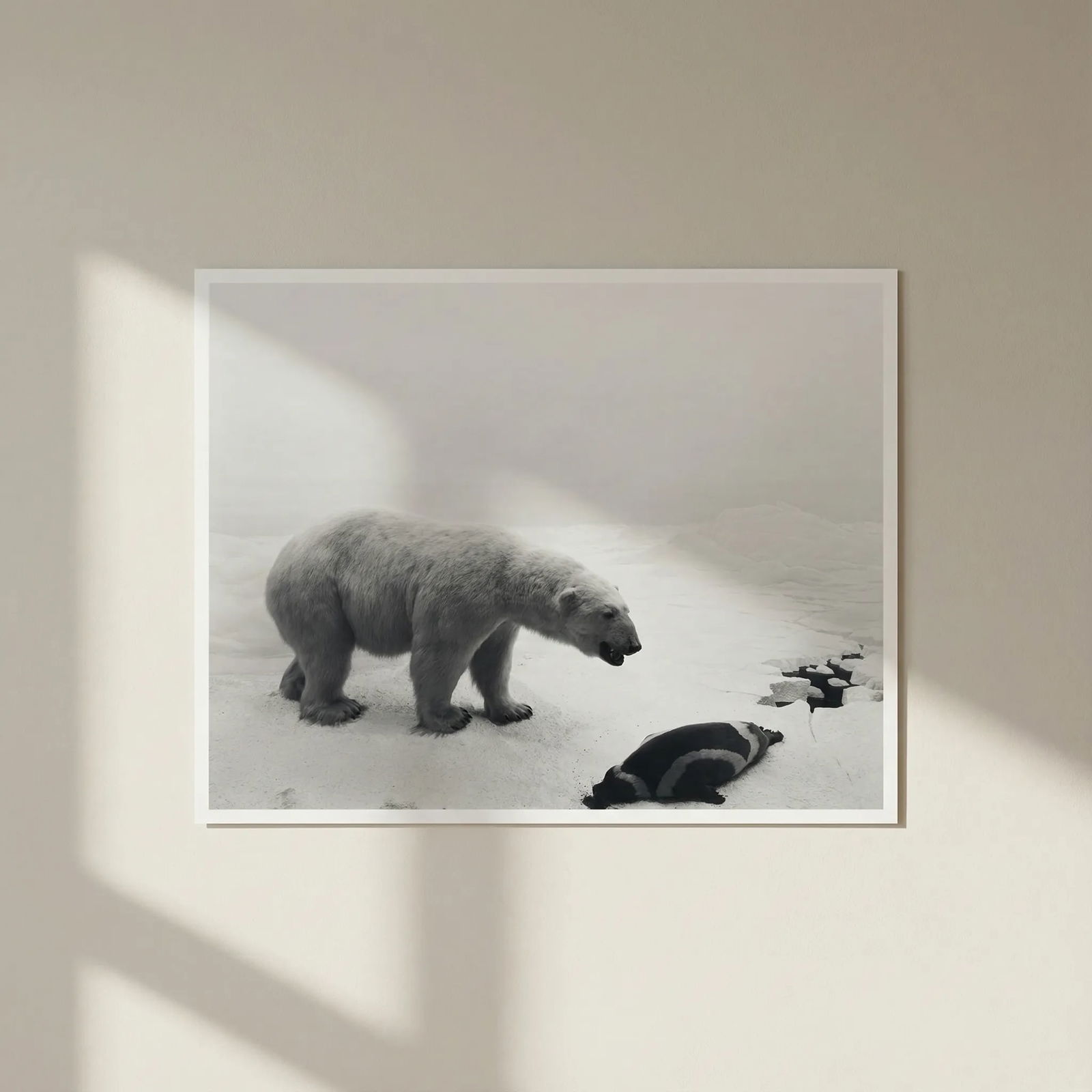 Hiroshi Sugimoto Untitled Print (1 of 4)