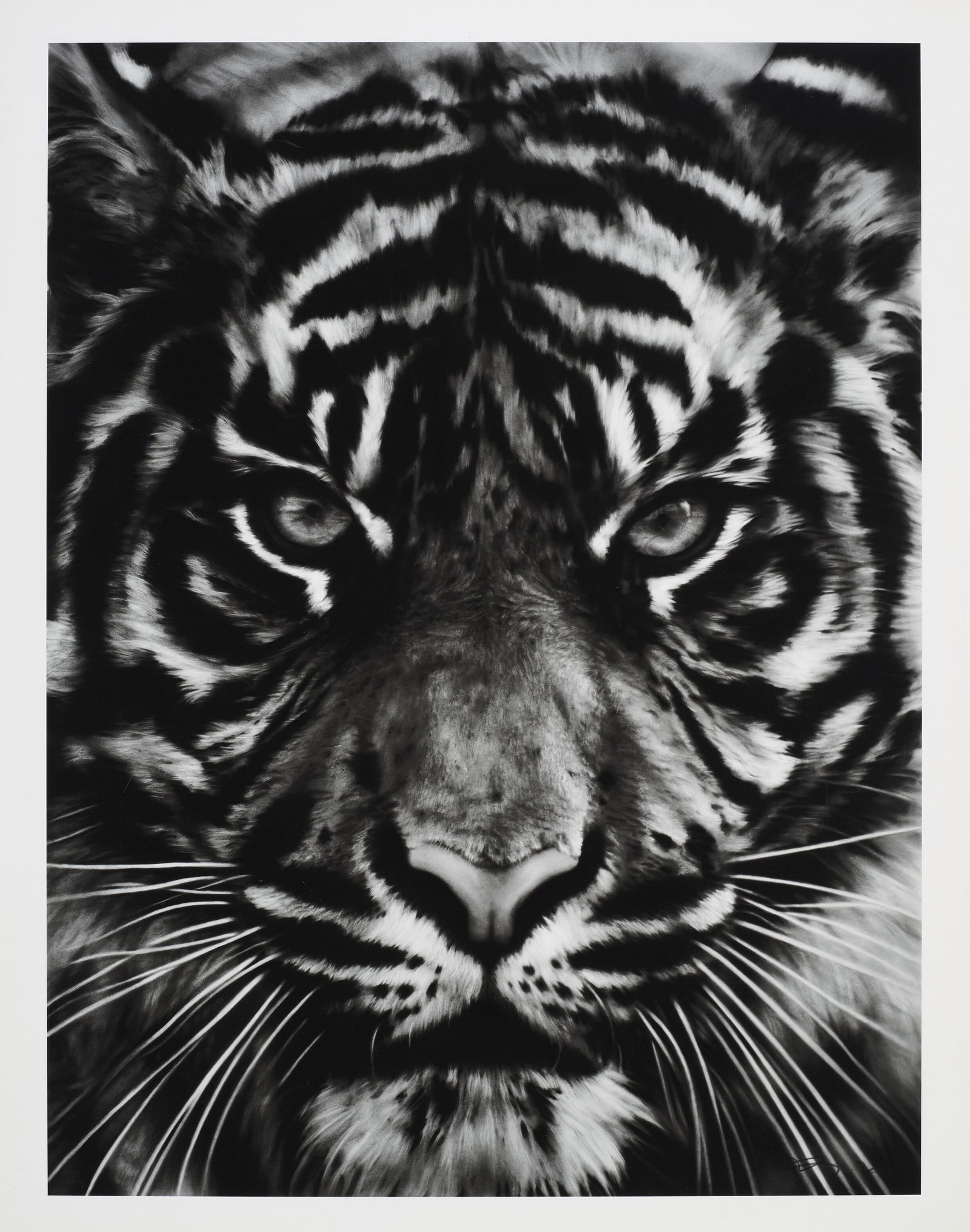 Robert Longo TIger Head Print - 4