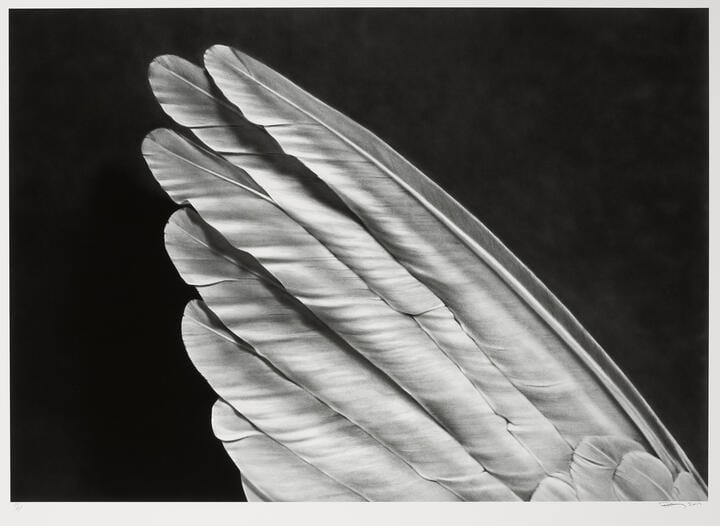 Robert Longo Untitled Print - 4