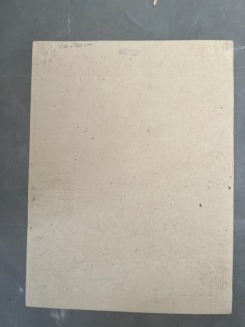 Richard VAN ORLEY (1663-1732) People, History, Landscape Etching Original - 11