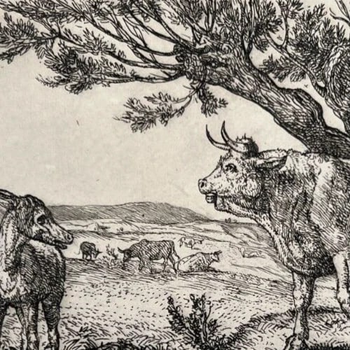 Louis GUY (1824-1888) Landscape, Cows 1875 - Etching Original - 6