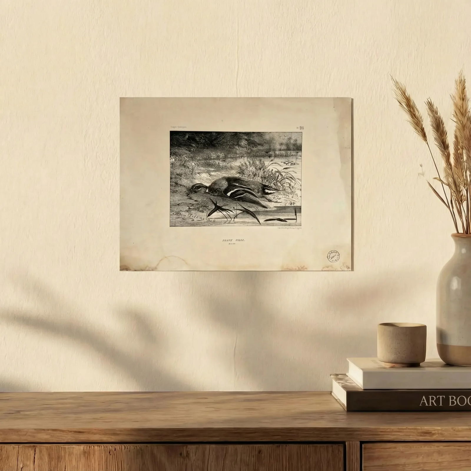 Antique Etching Original Newton FIELDING (1799-1856) Teal, Animal Bird, Duck - 3