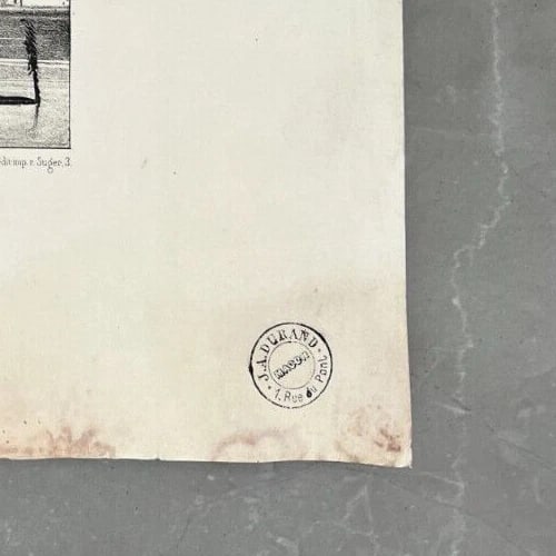 Antique Etching Original Newton FIELDING (1799-1856) Teal, Animal Bird, Duck - 9