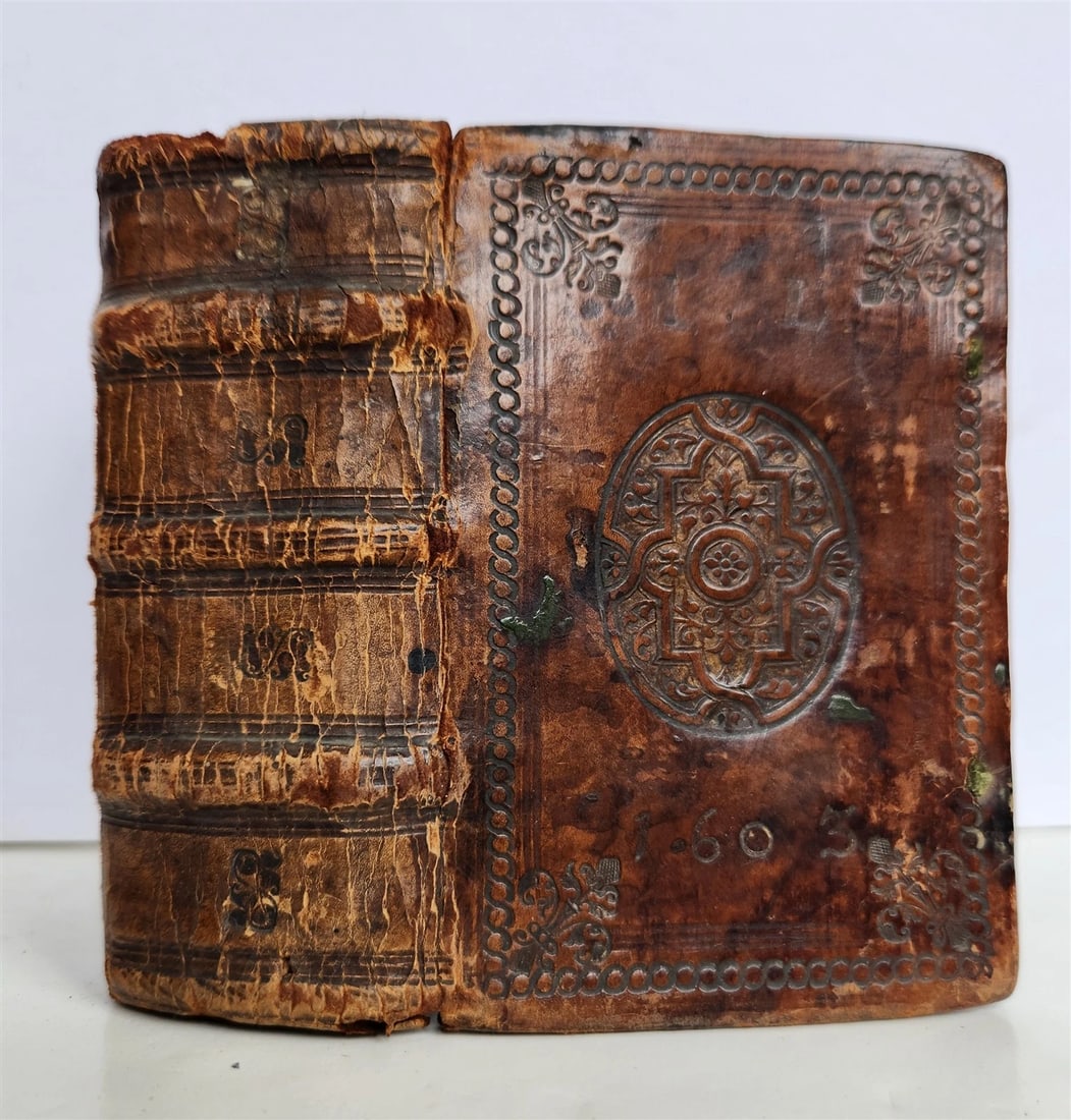 1599 ANCIENT POETRY antique ORIGINAL BINDING Illustrium poetarum flores 16th C. (1 of 14)