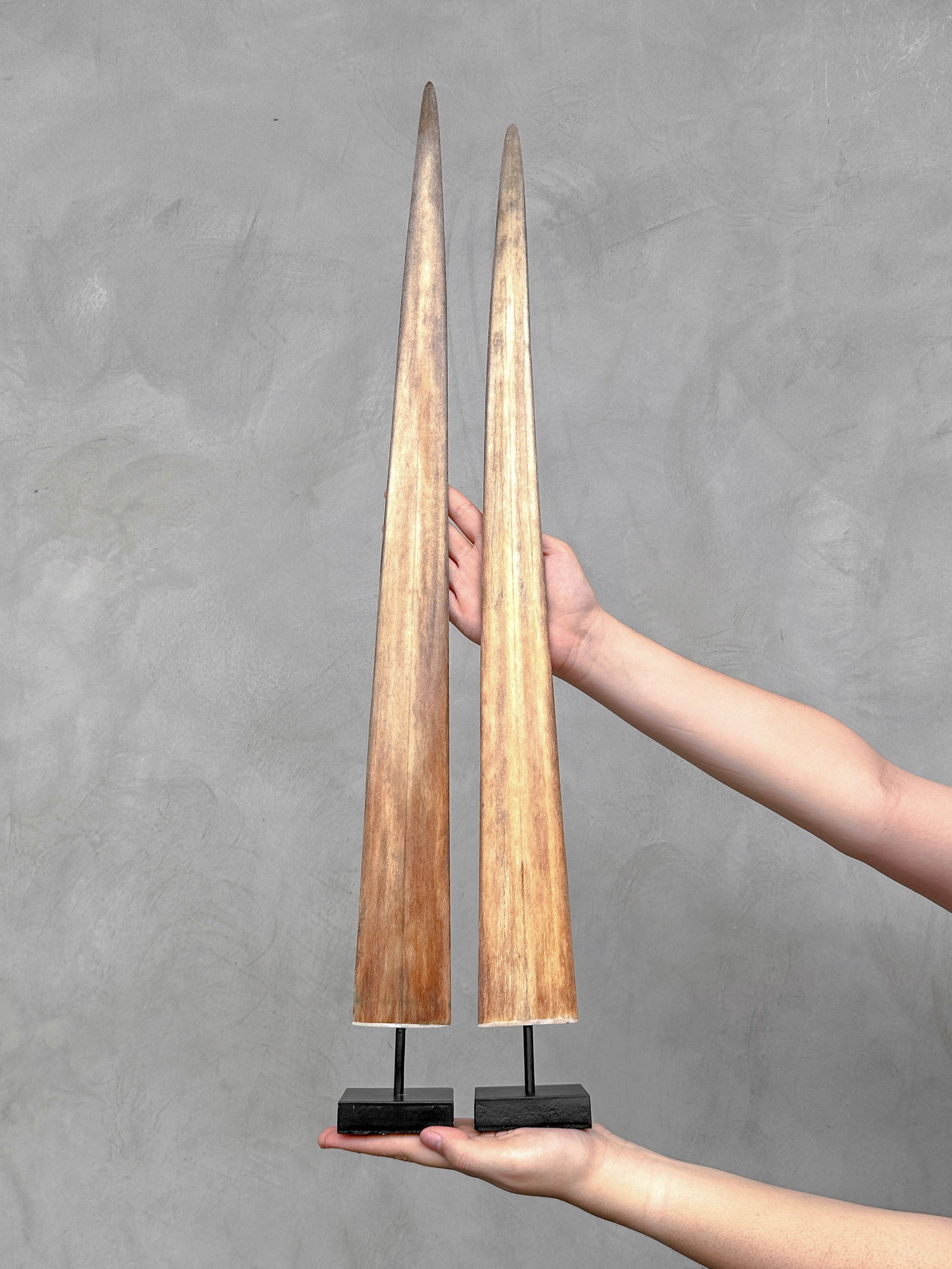 Stunning black water buffalo skull - Badong motif: Title: Stunning black water buffalo skull - Badong motif Maker:Unknown Origin: Indonesia Date/Period:2025 Materials:Bos Taurus, Bone, Horn Dimensions:Height: 71 cm / 27.9 inches Width: 93 cm / 36.6 in