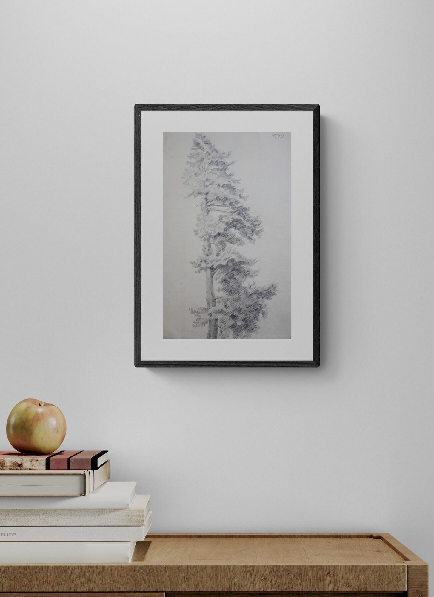 Mynka Olexandr (Ukrainian artist), "Pine", pencil on paper - 2