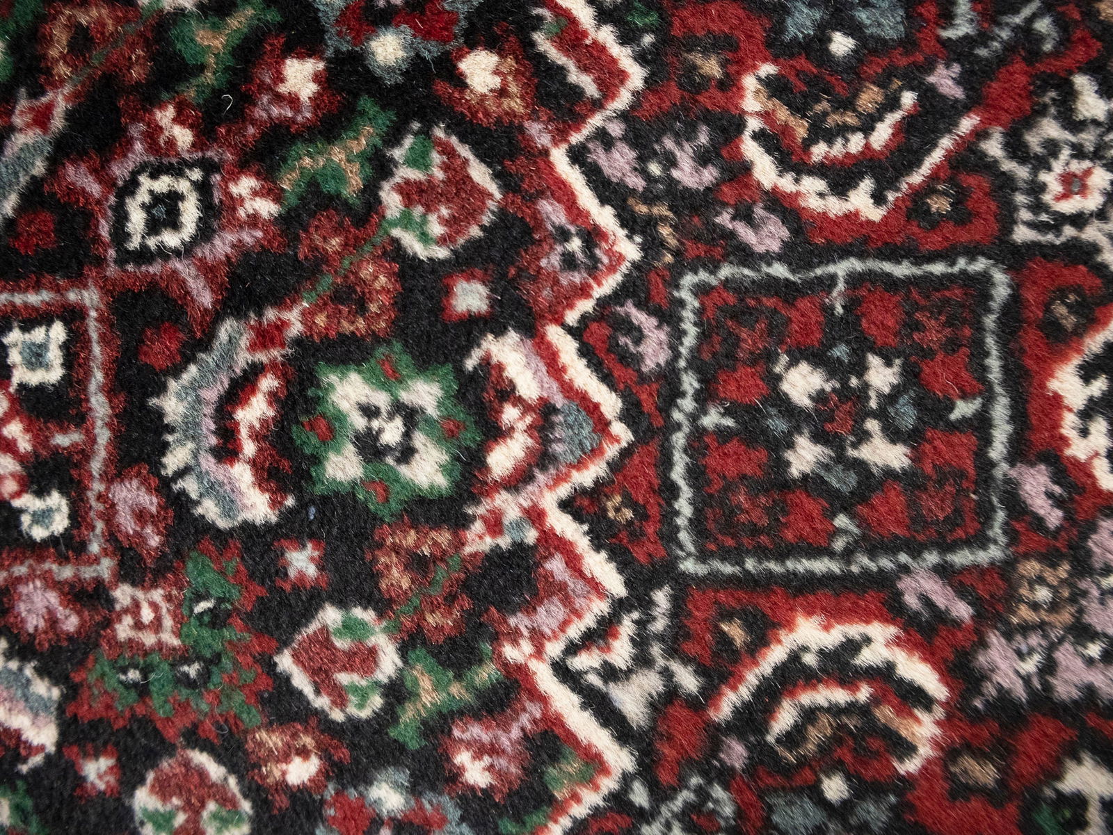 Black Floral Tribal 9X12 Indo-Bidjar Oriental Rug - 14