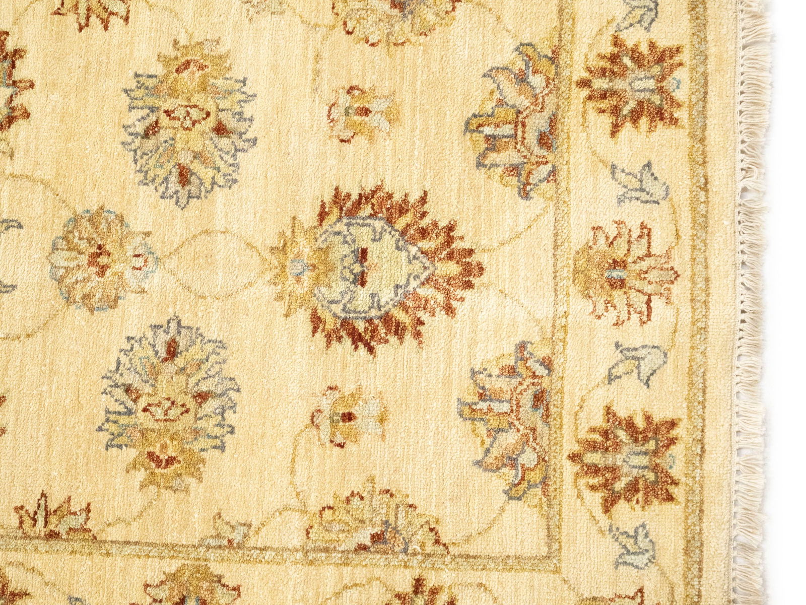 Beige Floral 3X12 Peshawar Pakistan Oriental Runner Rug - 9