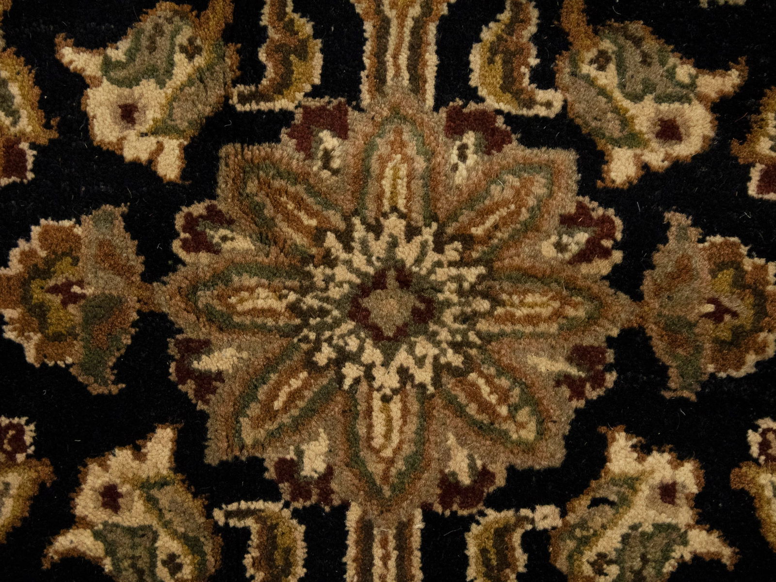 Black Floral Classic 9X12 Agra Jaipur Oriental Rug - 12