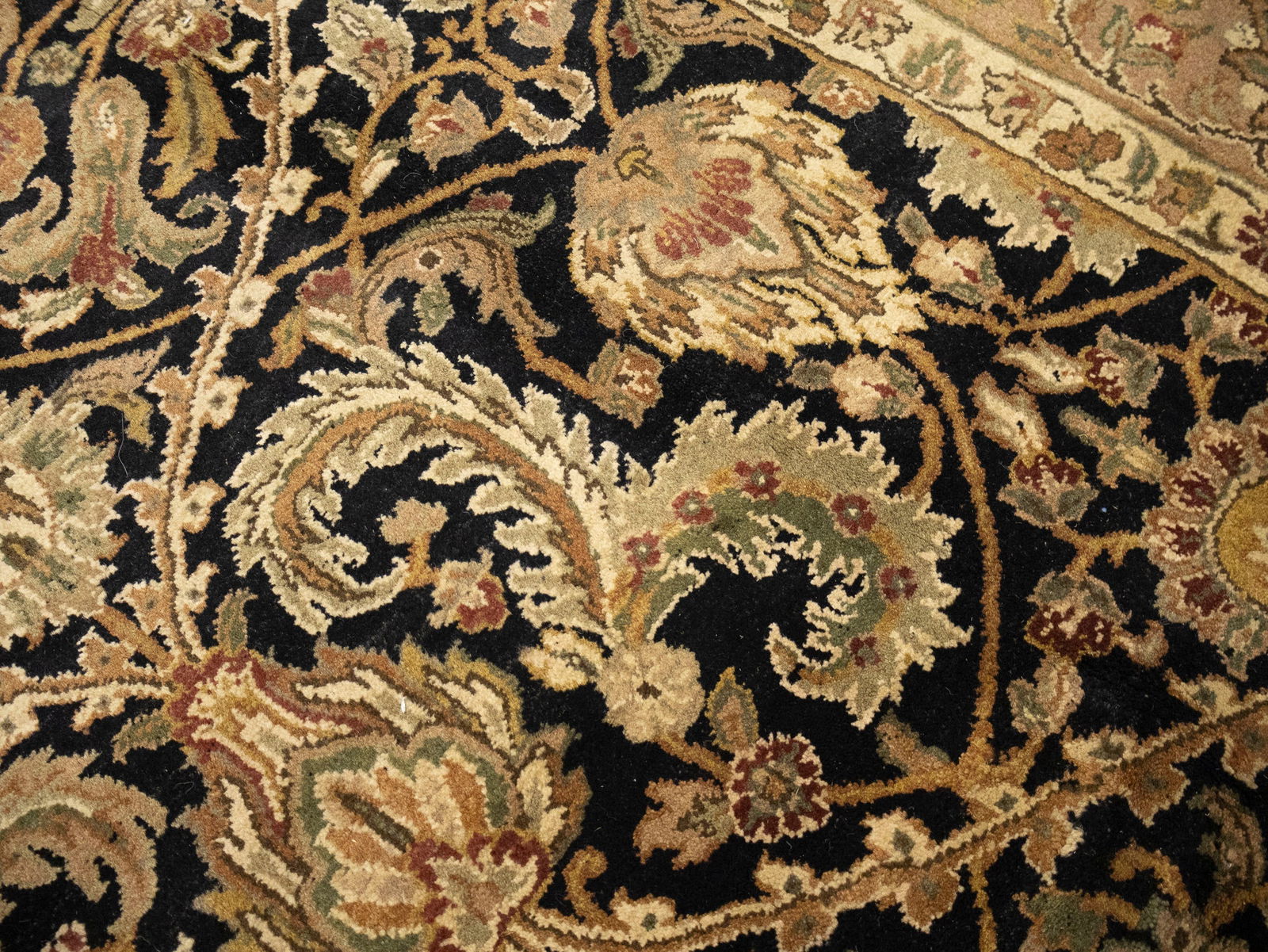 Black Floral Classic 9X12 Agra Jaipur Oriental Rug - 13