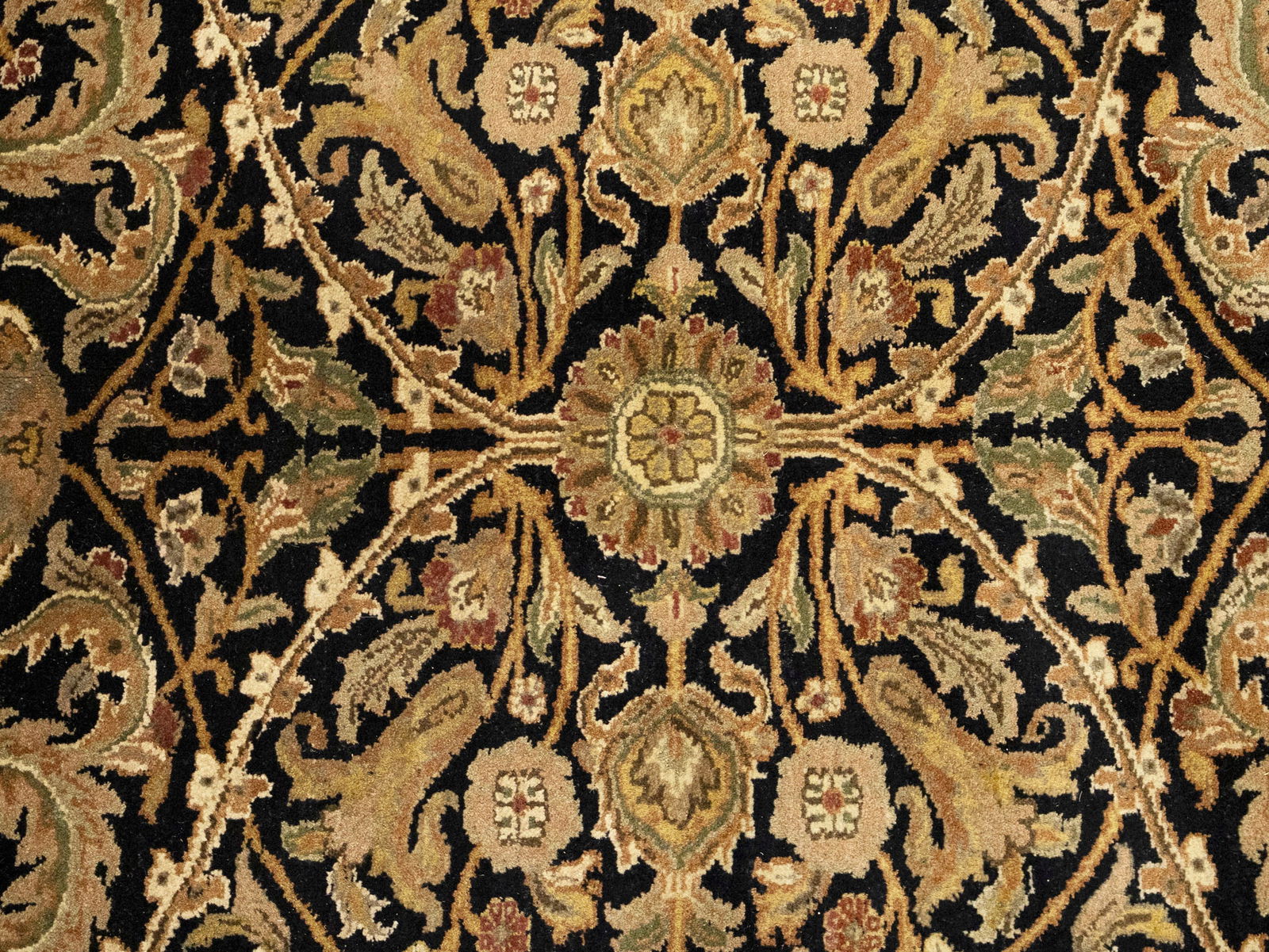 Black Floral Classic 9X12 Agra Jaipur Oriental Rug - 7