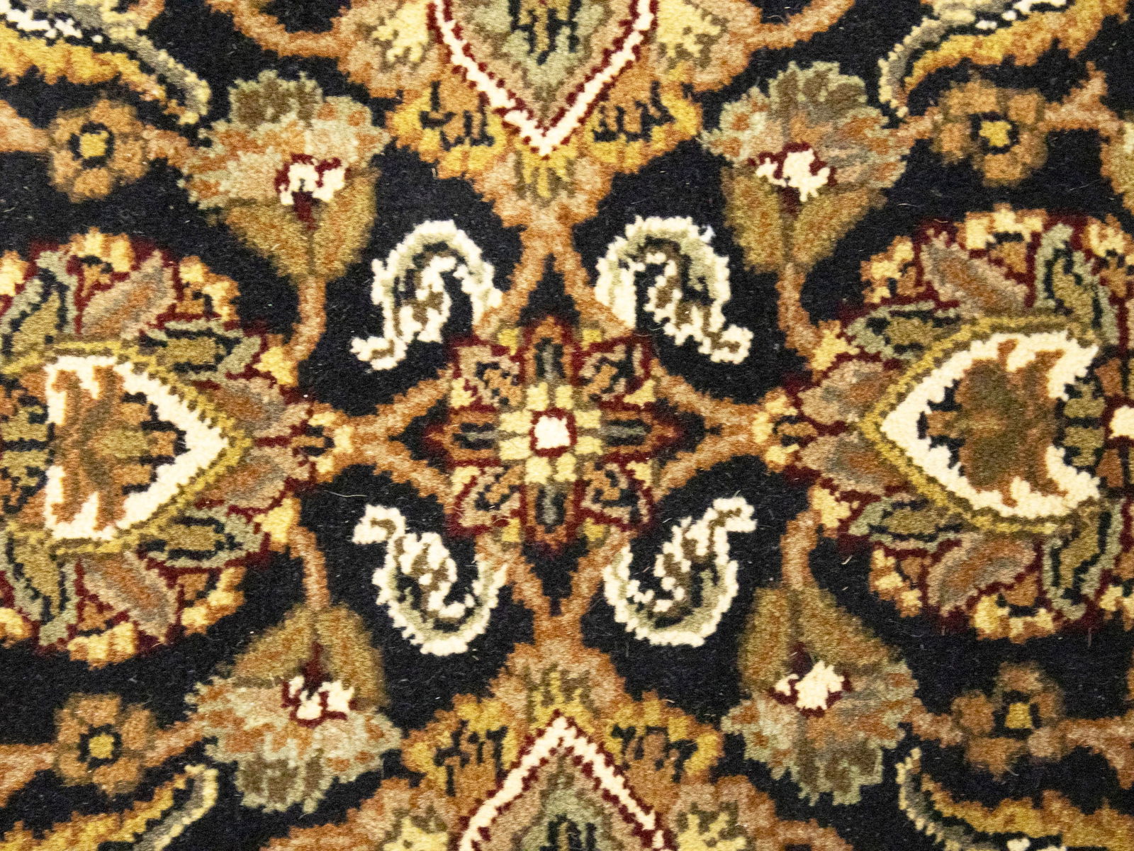 Black Floral Classic 3X5 Agra Jaipur Oriental Rug - 5